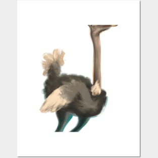 Cute Ostrich Drawing Posters and Art